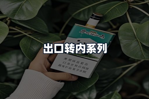 出口转内系列